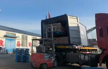 L'industrie de la pomme de terre de Qinhuangdao Tongyou expédie 10 conteneurs d'exportation de fécule de patate douce vers la Corée du Sud