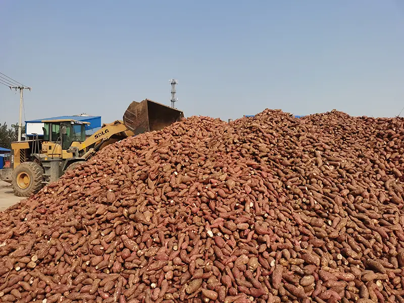 400g Bag Sweet Potato And Chinese Yam Vermicelli
